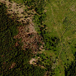 Satellite imagery of TP, CZ