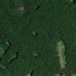 Satellite imagery of Réna, CZ