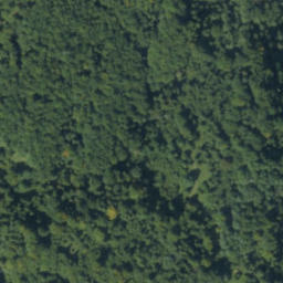 Satellite imagery of 7-8-06, PL