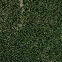 Satellite imagery of Spotted Nellie Ridge, CA