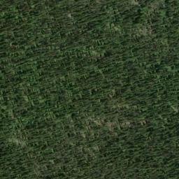 Satellite imagery of Spotted Nellie Ridge, CA
