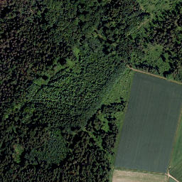 Satellite imagery of Ruppertsberg, DE