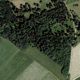 Satellite imagery of Ruppertsberg, DE