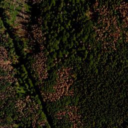 Satellite imagery of Kleiner Falkenstein, DE