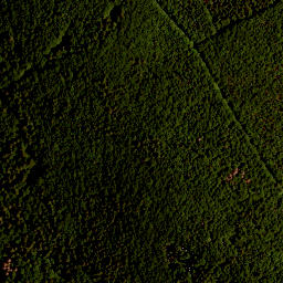 Satellite imagery of TP, CZ