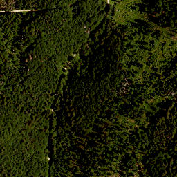 Satellite imagery of TP, CZ