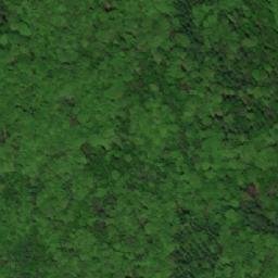 Satellite imagery of Kalvice [Haluzice], CZ