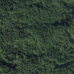Satellite imagery of 7-8-06, PL