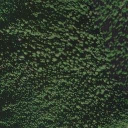 Satellite imagery of survey_point, CA