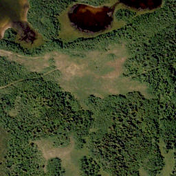 Satellite imagery of Birdseye Butte, CA