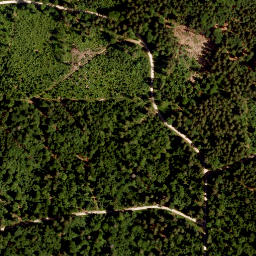 Satellite imagery of Spitzberg, DE