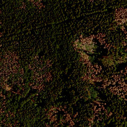 Satellite imagery of Großer Falkenstein, DE