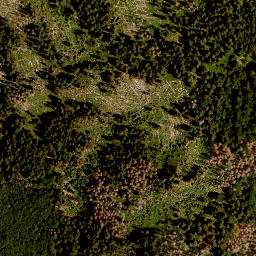 Satellite imagery of Großer Falkenstein, DE