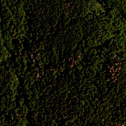 Satellite imagery of TP, CZ