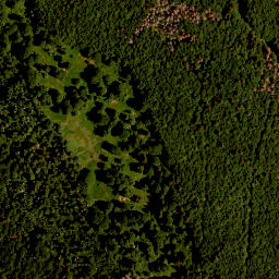 Satellite imagery of TP, CZ