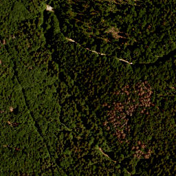 Satellite imagery of TP, CZ