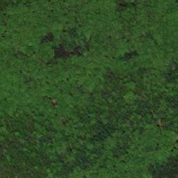 Satellite imagery of Kulatina [Osvětimany], CZ