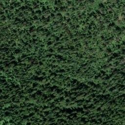 Satellite imagery of Mount Roberts, CA