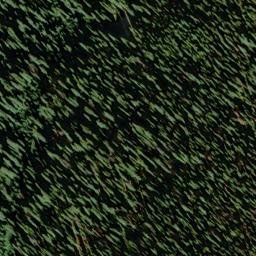 Satellite imagery of Camels Hump, CA