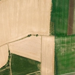 Satellite imagery of Zuckerberg, DE