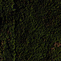 Satellite imagery of TP, CZ