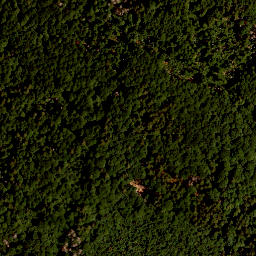 Satellite imagery of TP, CZ