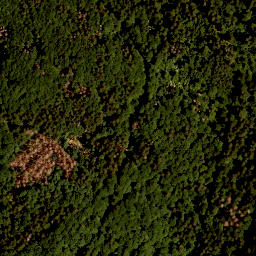 Satellite imagery of TP, CZ