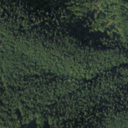 Satellite imagery of Tlstá, PL