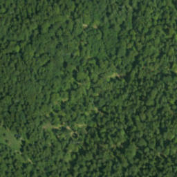 Satellite imagery of Bučie, PL