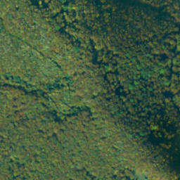 Satellite imagery of survey_point, PL