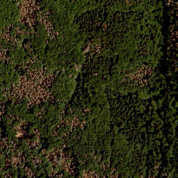 Satellite imagery of Grüne Bänder, CZ