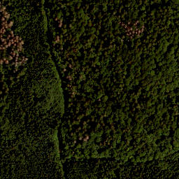 Satellite imagery of TP, CZ