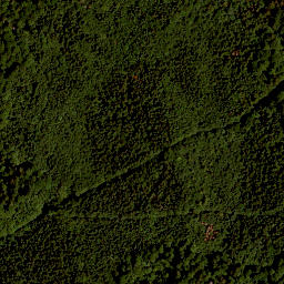 Satellite imagery of TP, CZ