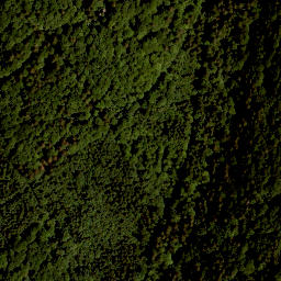 Satellite imagery of TP, CZ