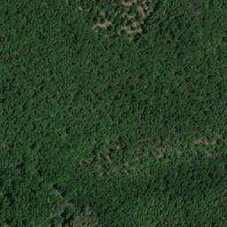 Satellite imagery of k.382 (obora Moravský Krumlov), CZ