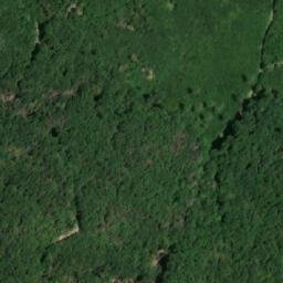 Satellite imagery of k.382 (obora Moravský Krumlov), CZ