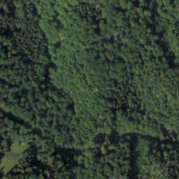 Satellite imagery of Biela šípka, PL