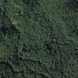 Satellite imagery of Biela šípka, PL