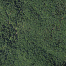 Satellite imagery of Tlstá, PL