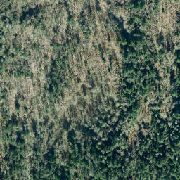Satellite imagery of survey_point, CA
