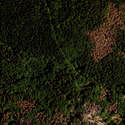 Satellite imagery of Grüne Bänder, CZ