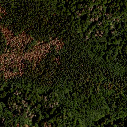 Satellite imagery of Grüne Bänder, CZ