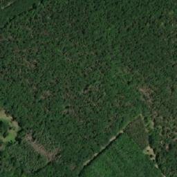 Satellite imagery of k.382 (obora Moravský Krumlov), CZ