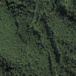 Satellite imagery of Biela šípka, PL