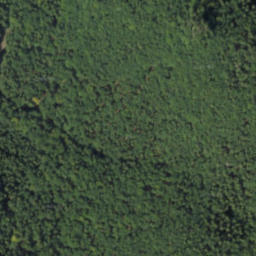 Satellite imagery of Tlstá, PL