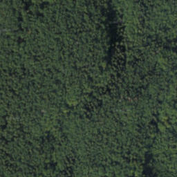Satellite imagery of Tlstá, PL