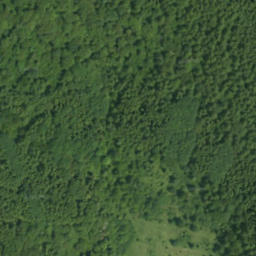 Satellite imagery of Bučie, PL