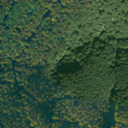 Satellite imagery of survey_point, PL