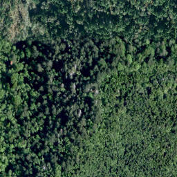 Satellite imagery of survey_point, CA