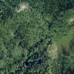 Satellite imagery of survey_point, CA